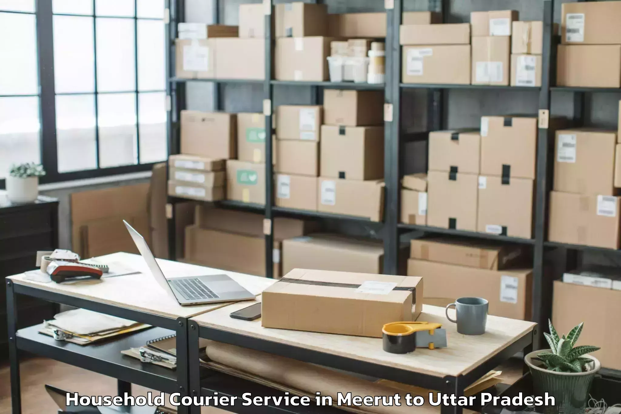 Hassle-Free Meerut to Bidhuna Household Courier